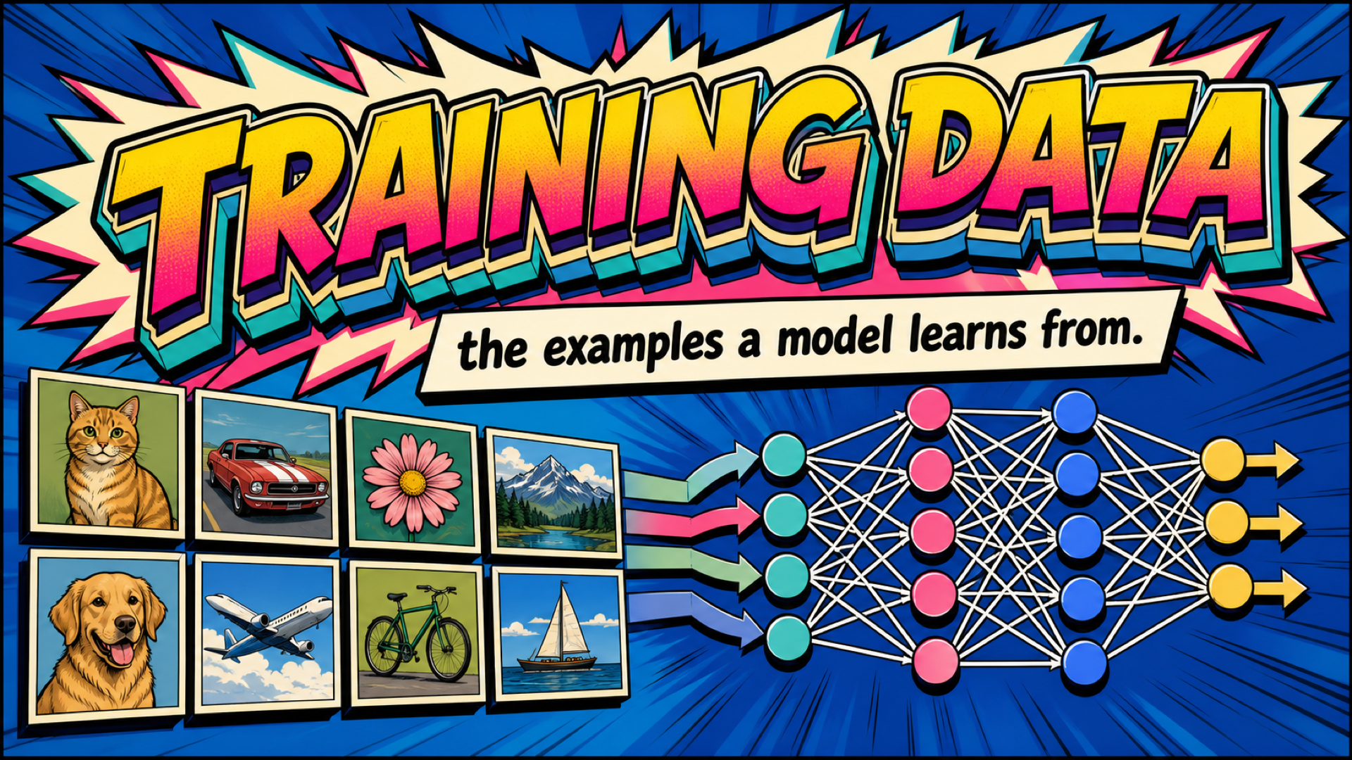 Training data
